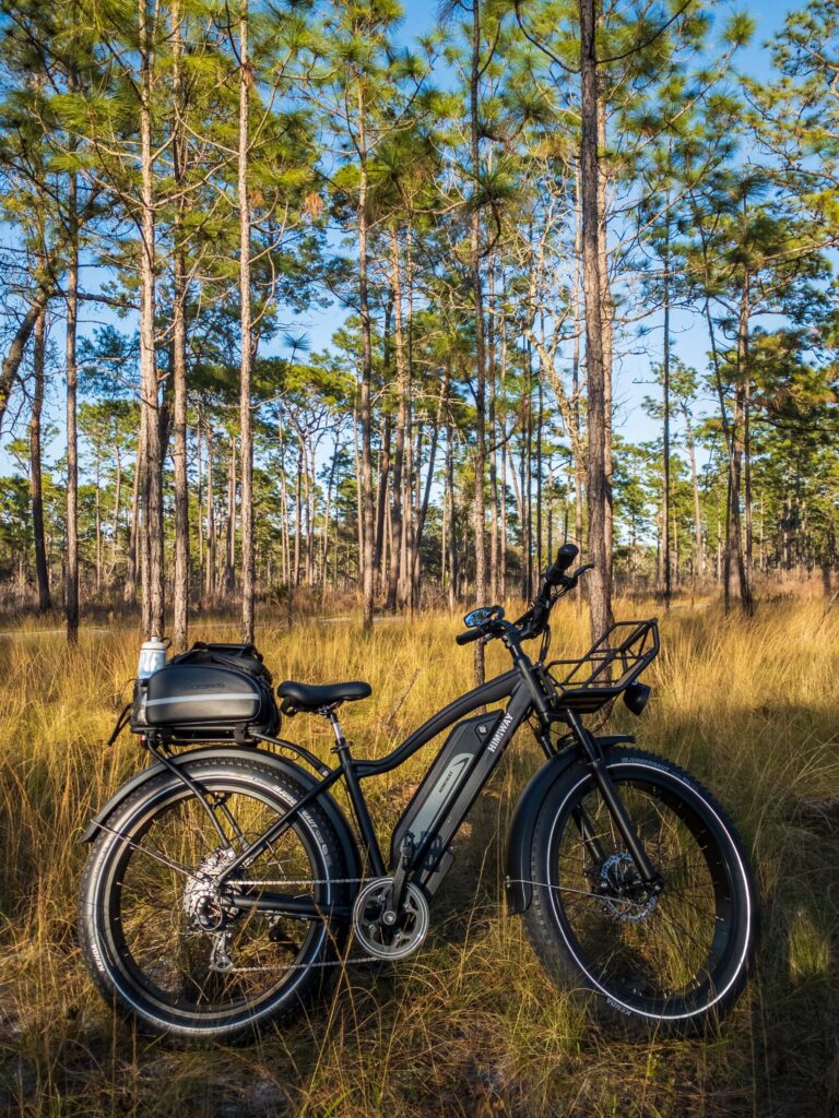 an electric bike conversion kit on a bike in the mountains.