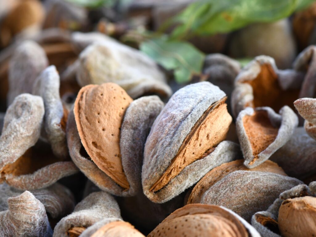 Why Almond Hulls Will Be The Next Big Upcycled Food