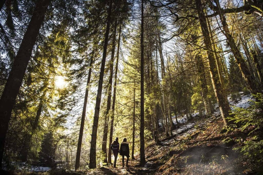 a couple on a hike