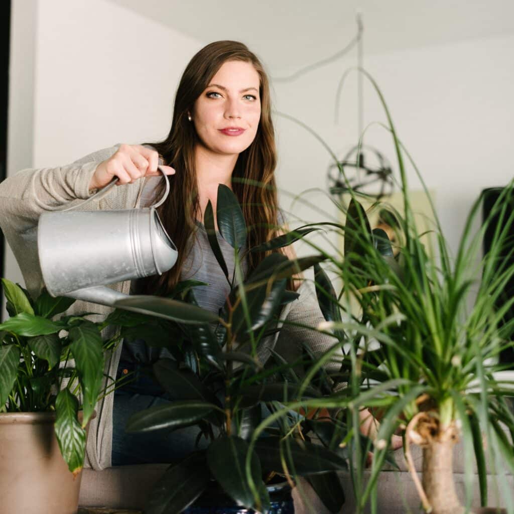 Is Your Plant Addiction Eco-Friendly?