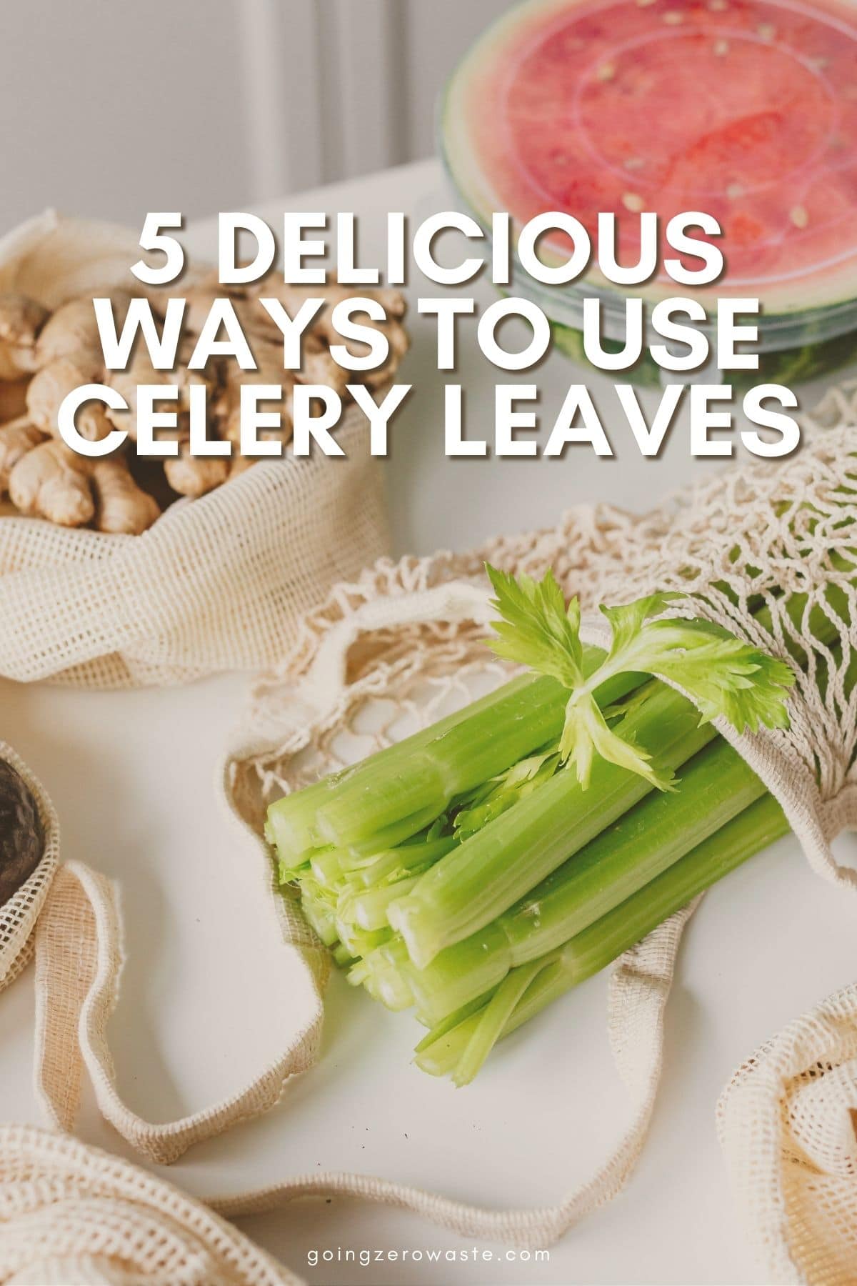 5 Scrumptious Methods to Use Celery Leaves