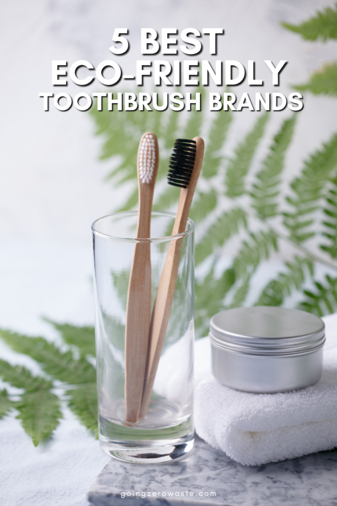 5 Greatest Eco Good Toothbrush Producers