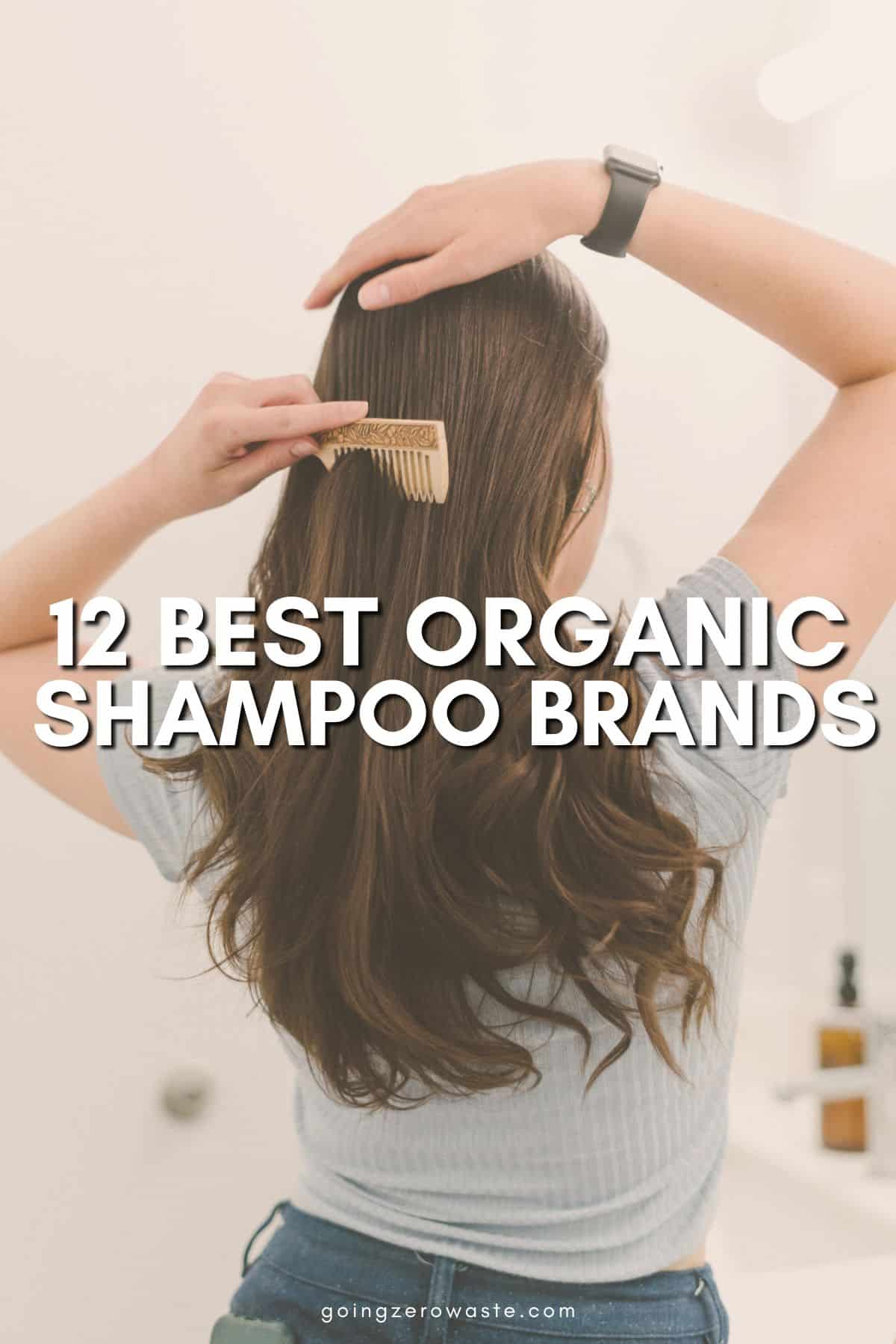 12 Biggest Pure Shampoo Decisions for a Pure Hair Care Routine