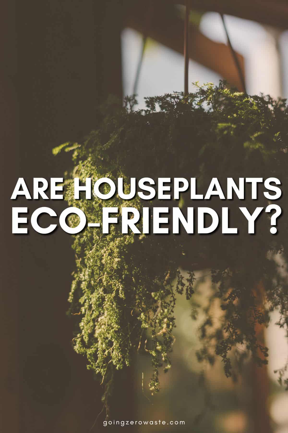 Is Your Plant Dependancy Eco-Good?